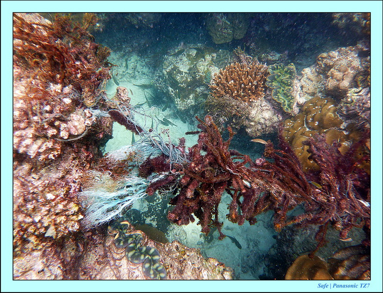 2011 - 07 - Koh Lipe 73